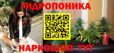 МДПВ Лесосибирск